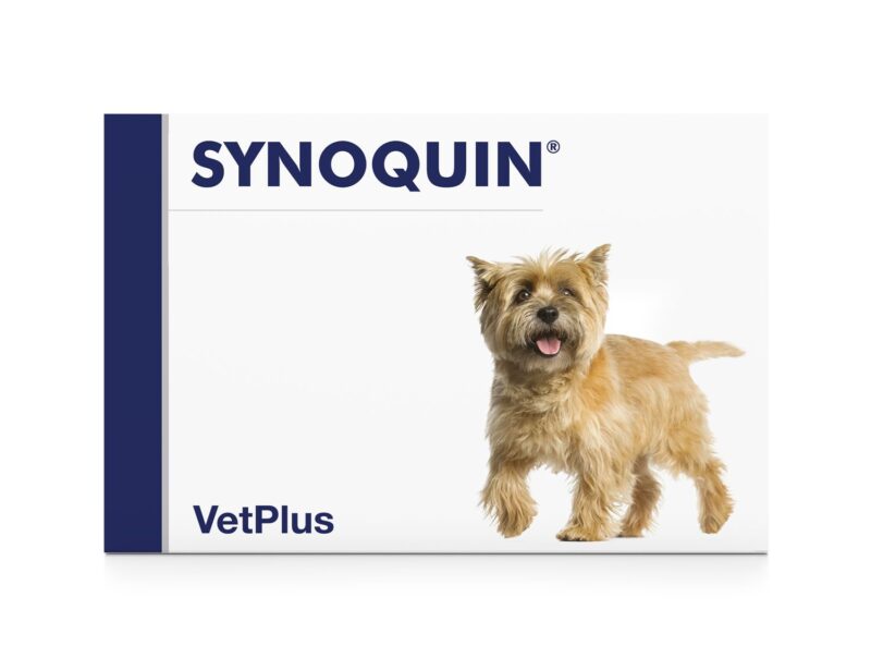 SYNOQUIN-Small-breed